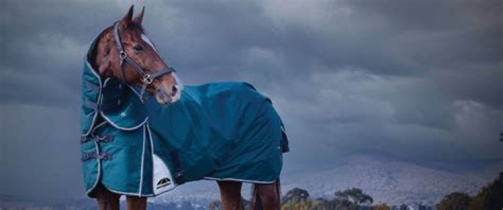 Can horse get too hot in rug?