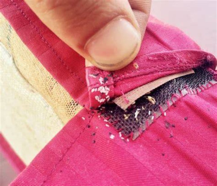 Do bed bug eggs stick to clothes?