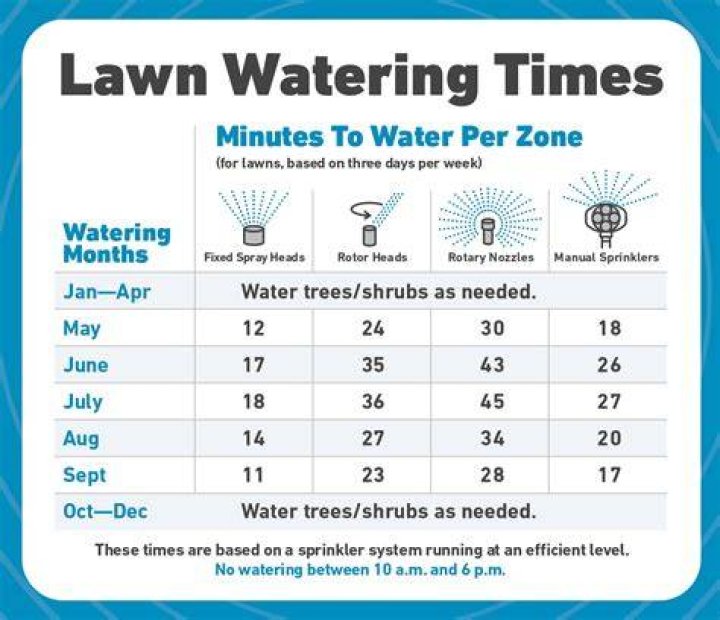 How many days a week should I water my lawn?