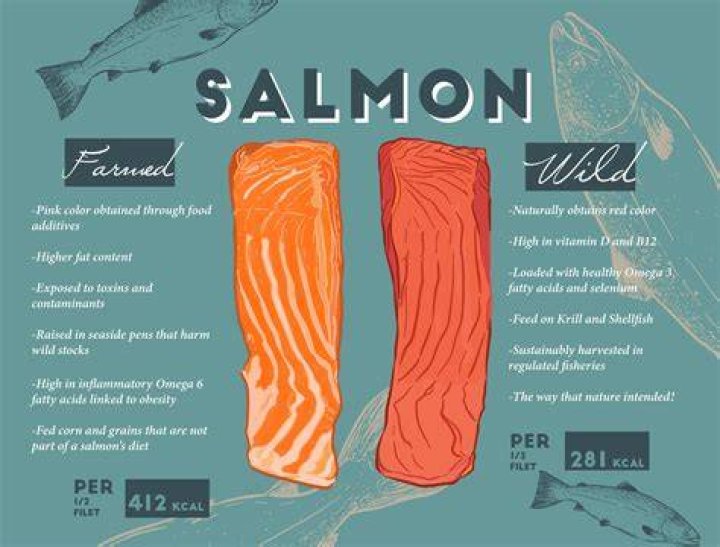 Which country has the best farmed salmon?
